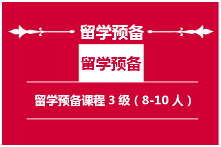 南京留学预备课程3级（8-10人）