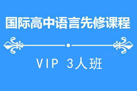 南京国际高中备考VIP3人班